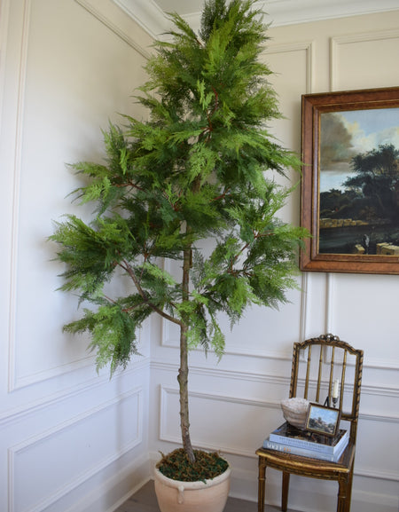 Faux Artificial Mature Japanese Pagoda Tree H 250cm