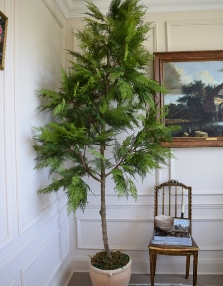 Faux Artificial Mature Japanese Pagoda Tree H 250cm