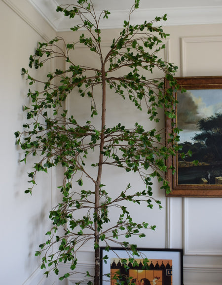 NEW* Artificial Bucida Buceras Tree, Black Olive Shady Lady tree H 210cm 7ft