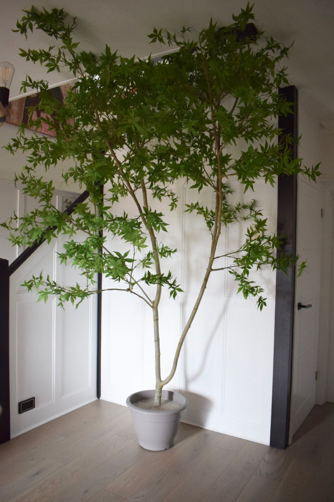 Faux Artificial Acer Tree  H 300cm, 3 m Tree with pot and moss