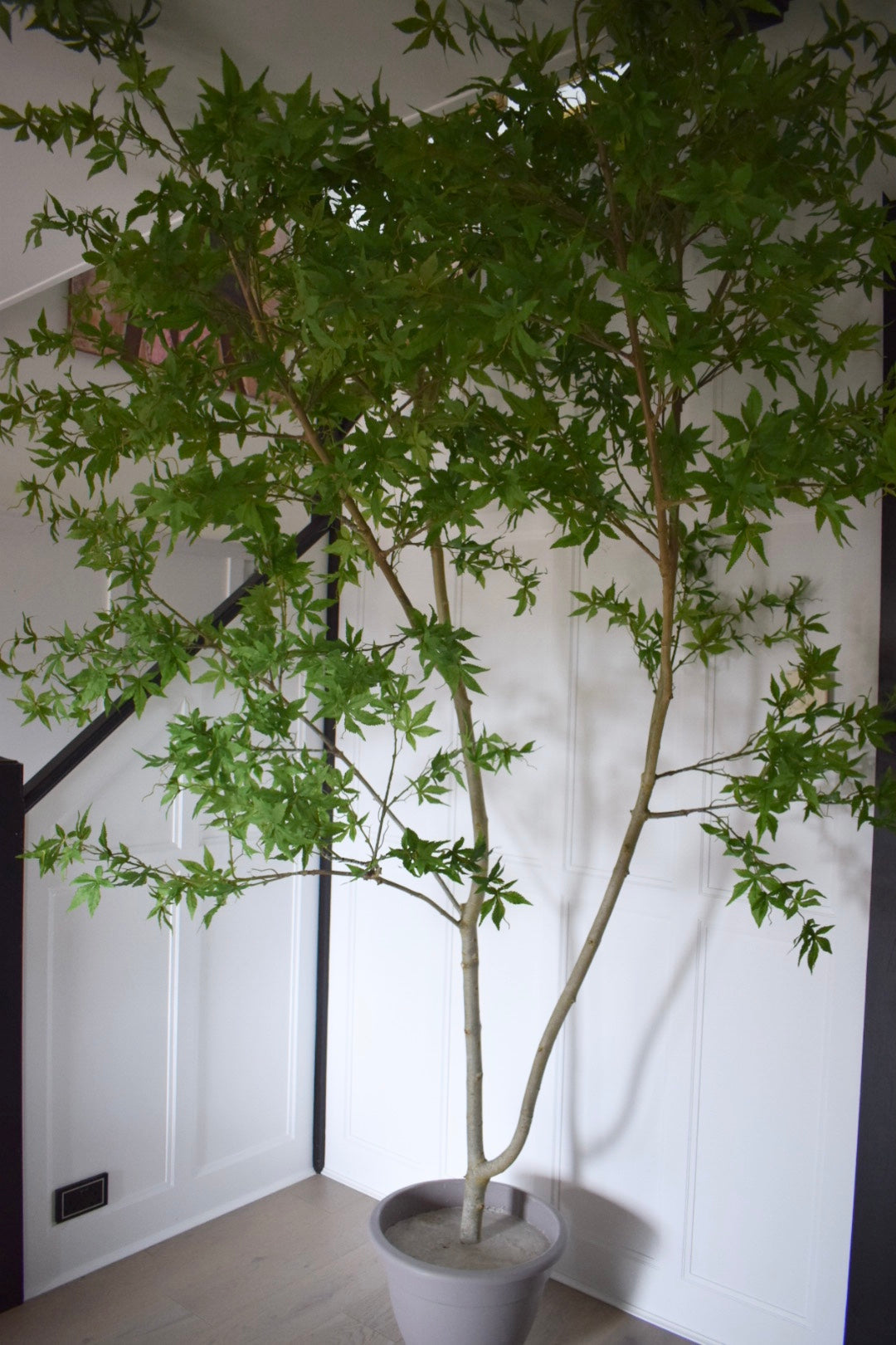 Faux Artificial Acer Tree  H 300cm, 3 m Tree with pot and moss