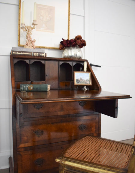 Antique Burr Satin walnut George Bureau desk table c 1910