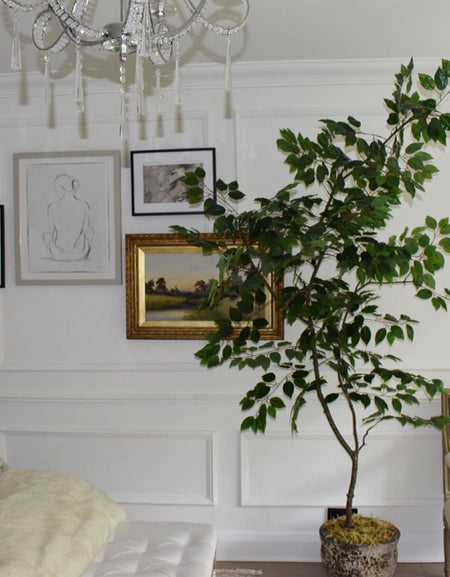 Artificial Ficus tree 5ft mini 150cm