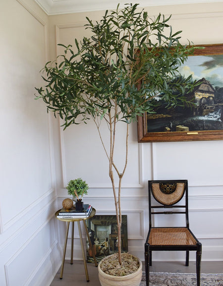 Lollipop Faux Artificial Large Potted Olive tree H 230cm