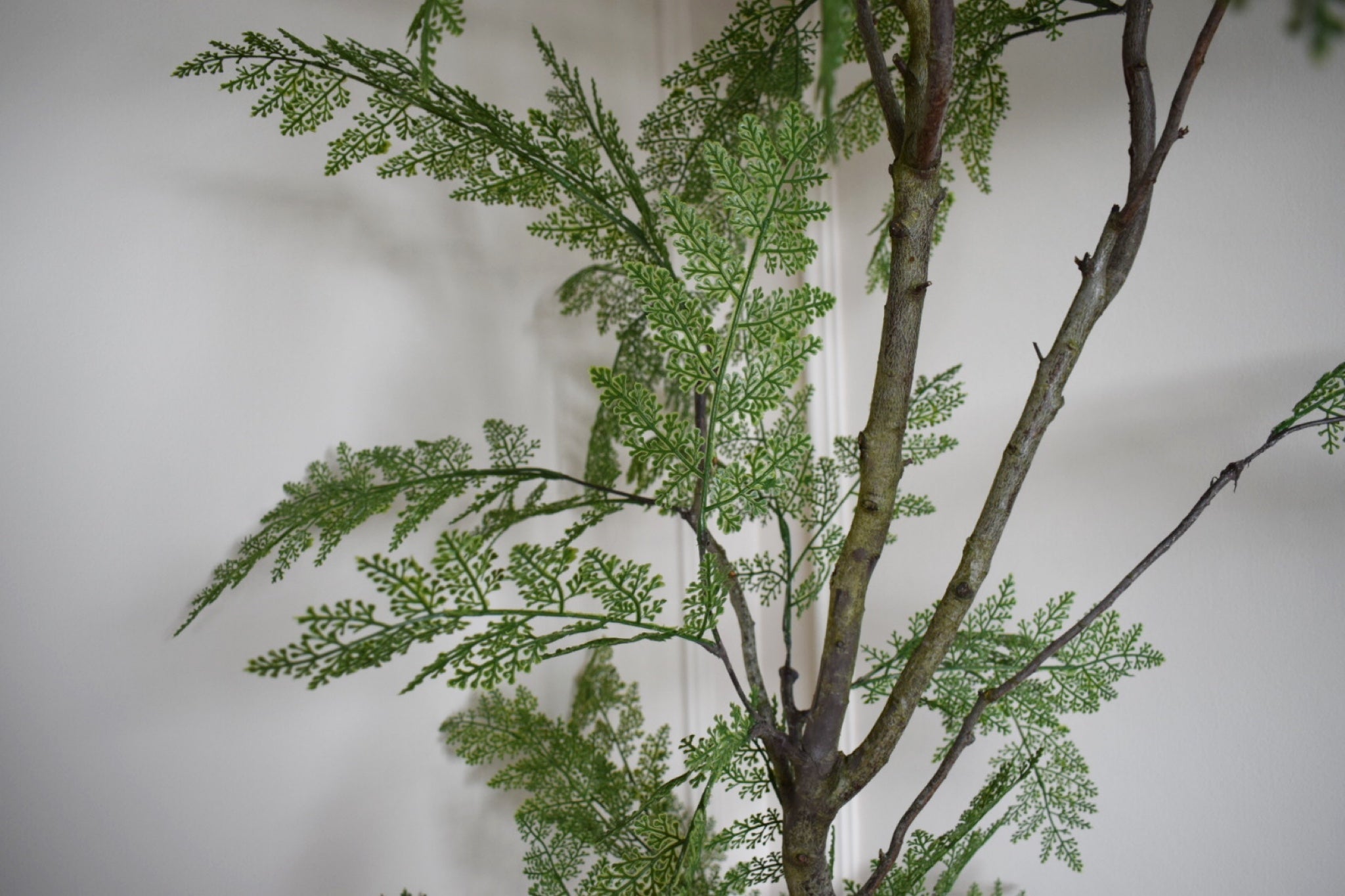 New Interior trend Faux Artificial Weeping Japanese Pagoda  tree H 220cm with pot and moss