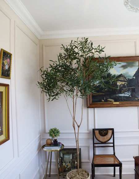 Lollipop Faux Artificial Large Potted Olive tree H 230cm with pot and moss