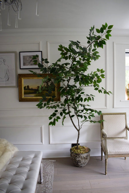 Artificial Ficus Tree H 220cm