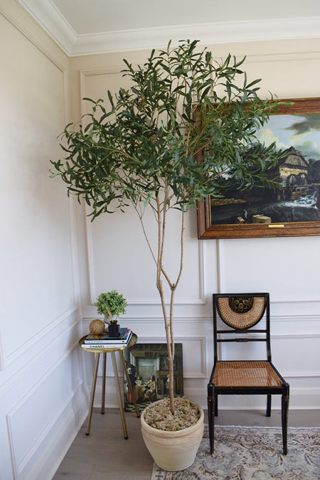 Lollipop Faux Artificial Large Potted Olive tree H 230cm with pot and moss