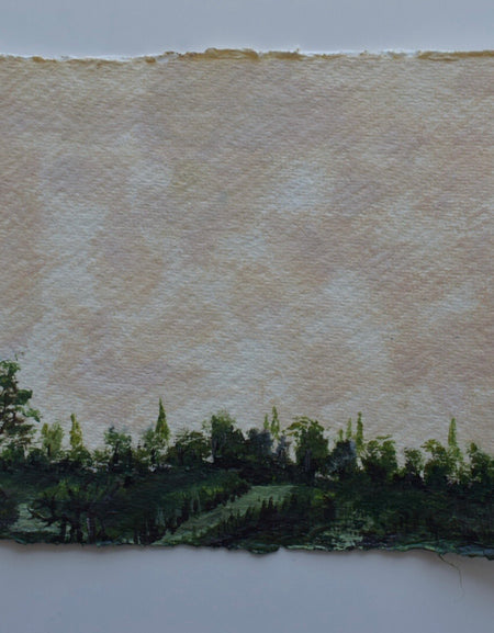 Landscape collection ii