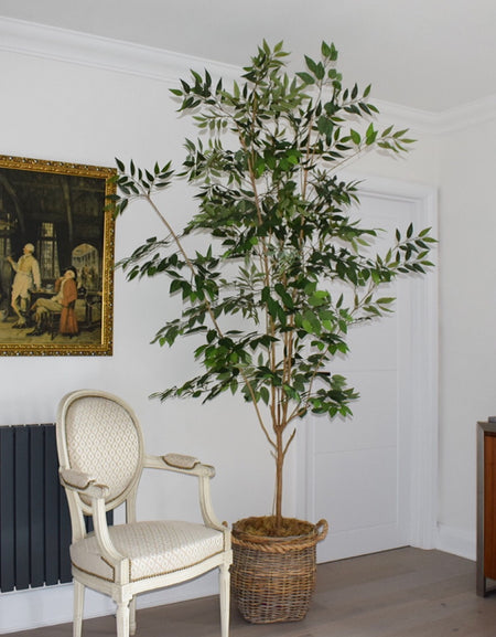 Faux Artificial Matte Ficus Benjamin tree H 240cm