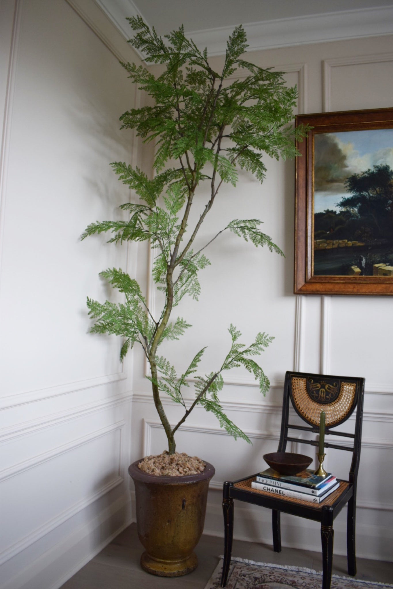 japanese indoor plants New Interior trend Faux Artificial Weeping Japanese Pagoda tree H 220c – djimbisambartgallery