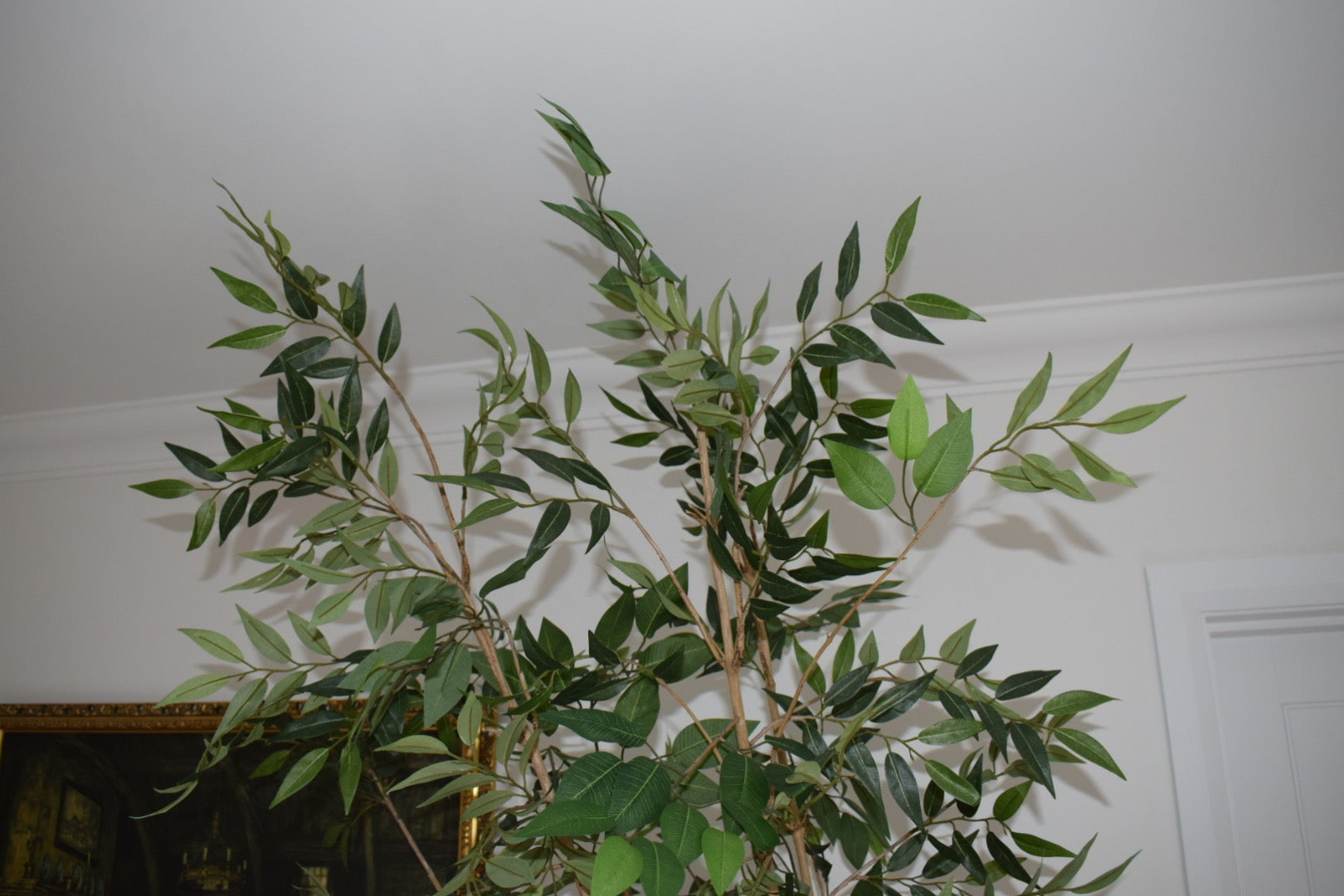 Faux Artificial Matte Ficus Benjamin tree H 240cm